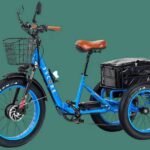 3 Wheel Electric Bike For Adults