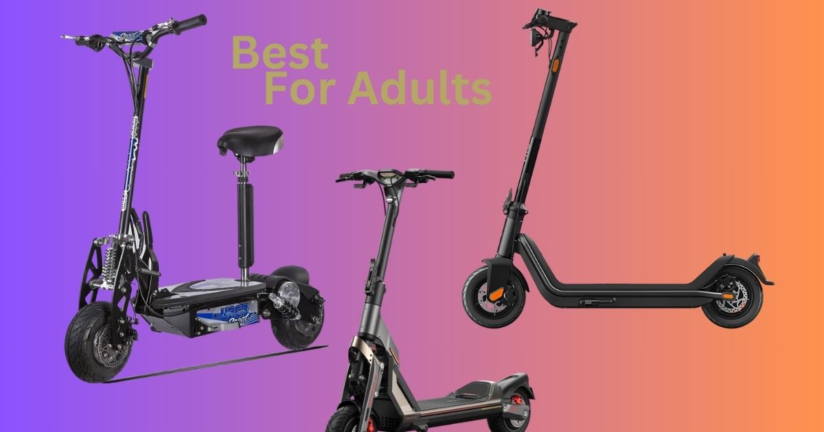 The Best Electric Scooters For Adults In 2024