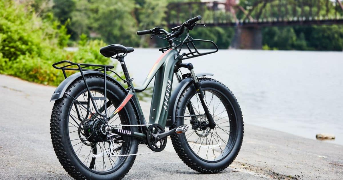 The Best Fat Tire Electric Bikes For 2024