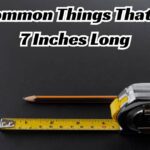 9 Common Things That Are 7 Inches Long