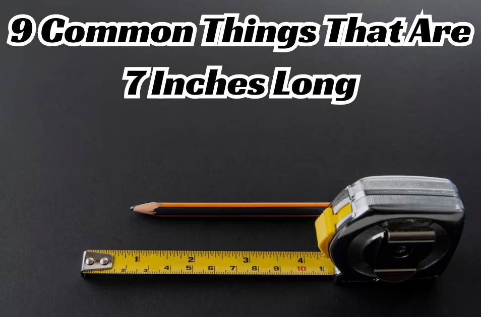 9 Common Things That Are 7 Inches Long