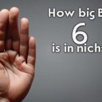 How Big Is 6 Inches