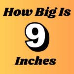 How Big Is 9 Inches
