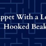 A Beginner’s Guide to the muppet with long hooked beak