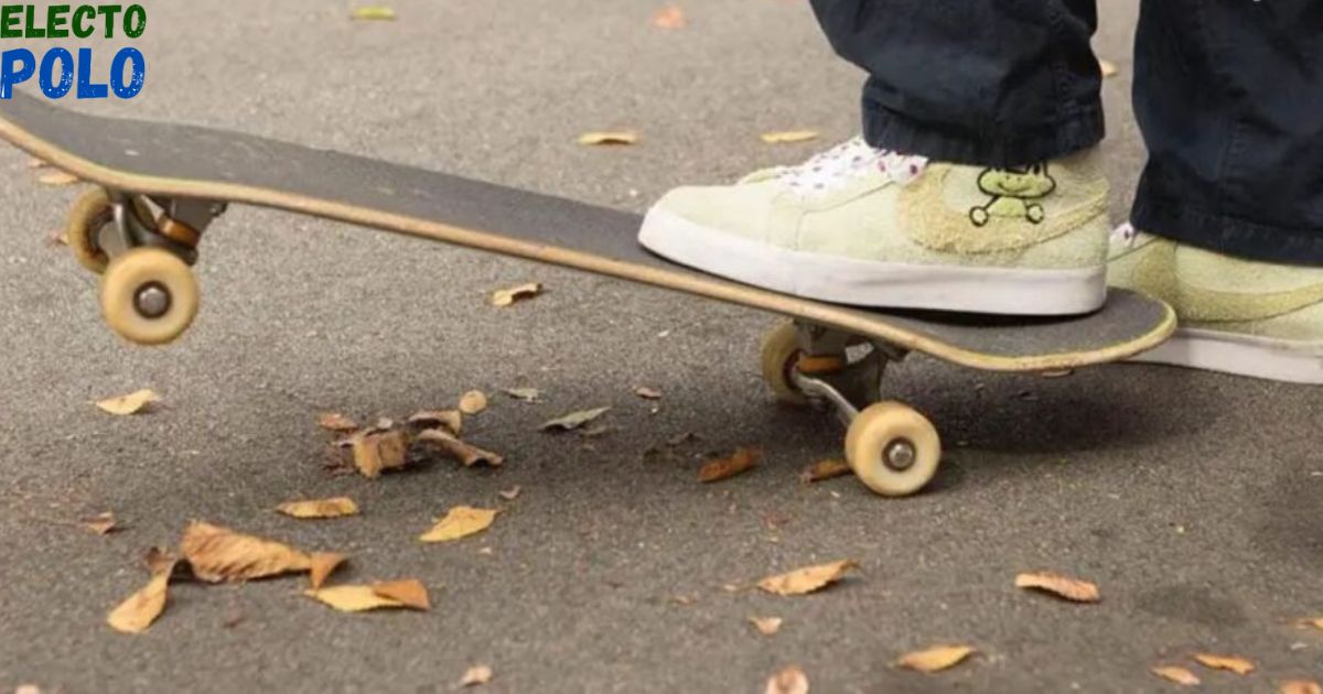 Skateboard Frog with a 40oz Birdhouse A Unique Blend of Fun and Functionality