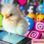 Internet Chicks: A Digital Phenomenon