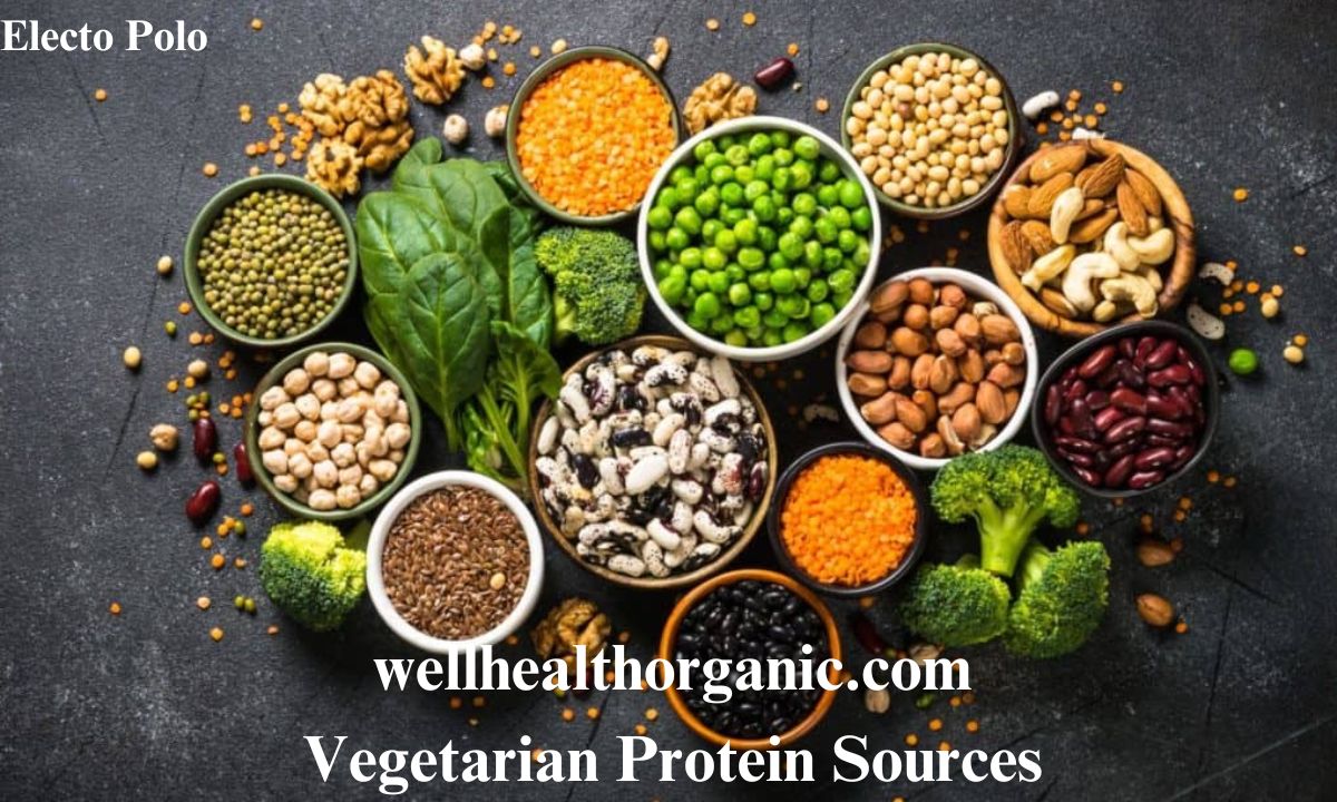 wellhealthorganic.com Vegetarian Protein Sources