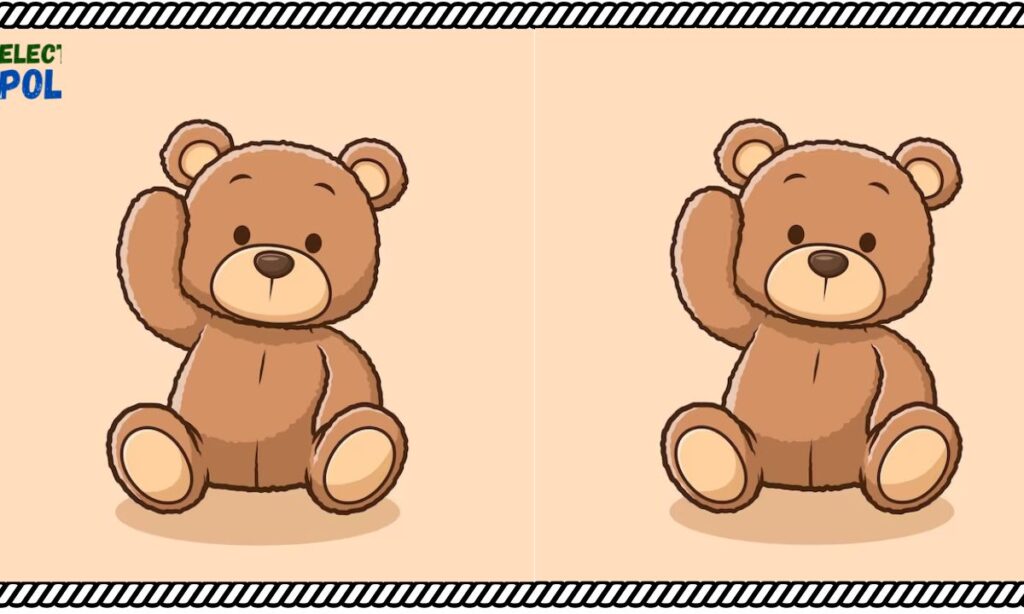 Adorable Bear Design