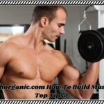 Wellhealthorganic.com How To Build Muscle Tag – Top Tips?